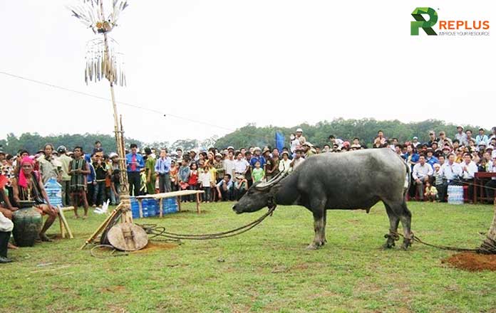 lễ-hội-đâm-trâu