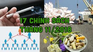 chính sách tháng 11