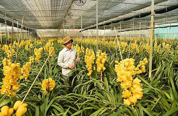 5 sự kiện về quyền sở hữu trí tuệ và thương hiệu tại VN 1