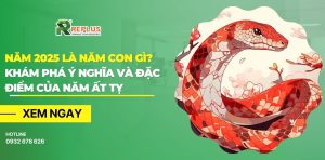 năm 2025 là năm con gì